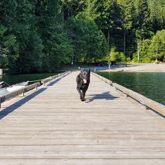 Comox Lake near Cumberland #hotdog