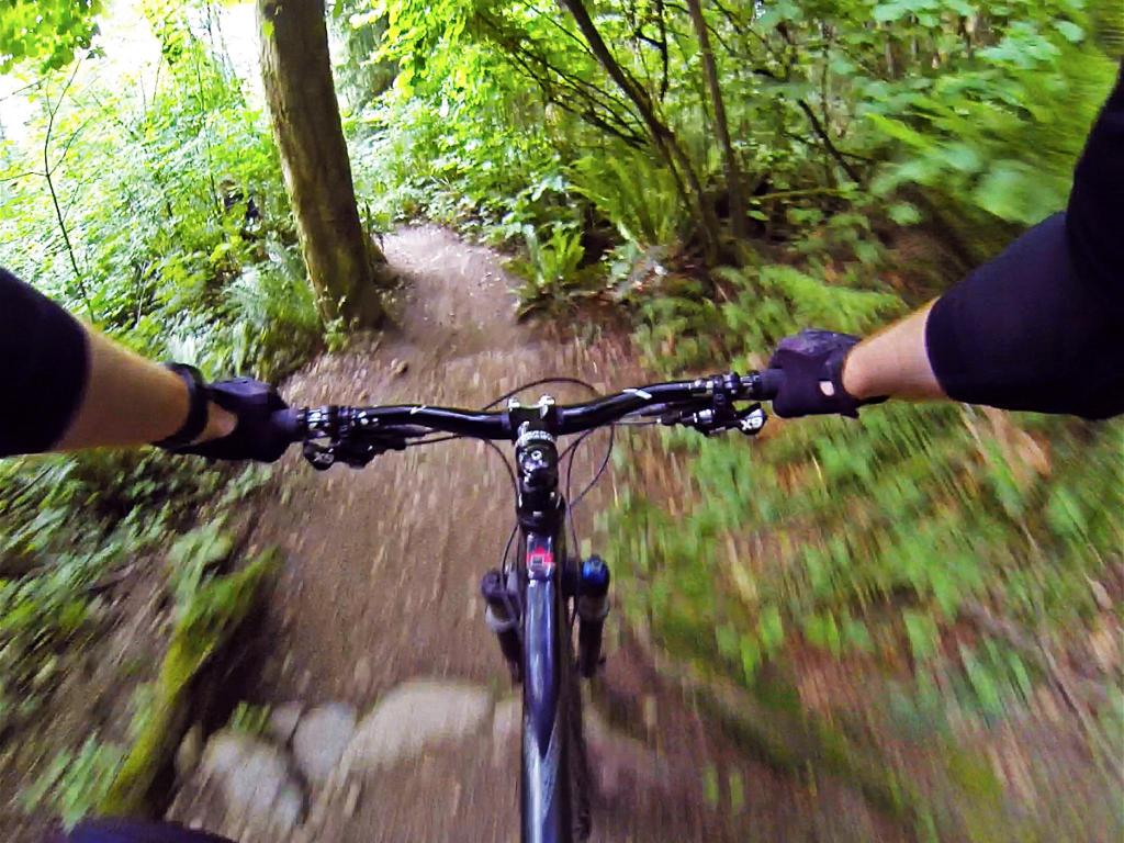 'Nicole's Trail' on Burnaby Mountain