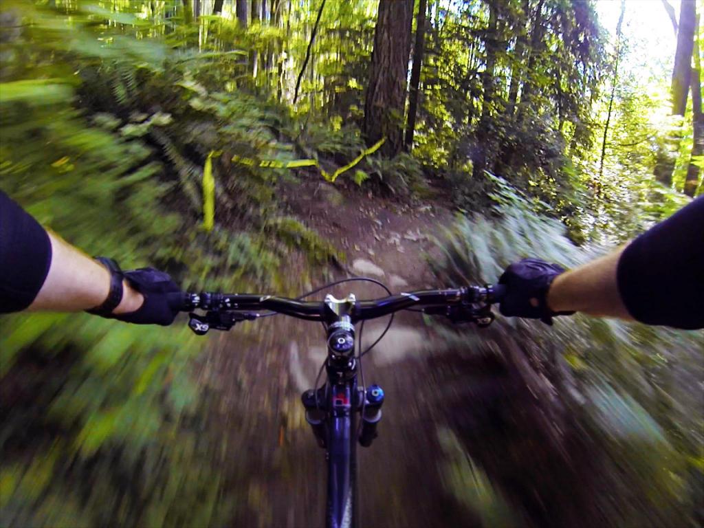 'Nicole's Trail' on Burnaby Mountain