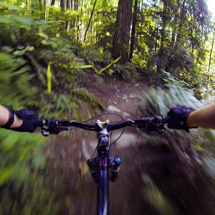 'Nicole's Trail' on Burnaby Mountain